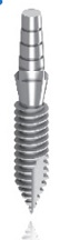 MonoBlock Implants