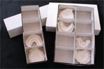 Orthodontic Model Boxes with Compartments